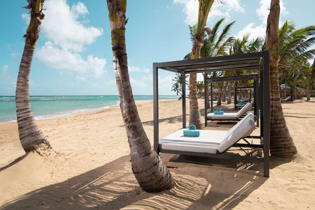 Live Aqua Beach Resort Punta Cana Nature photo